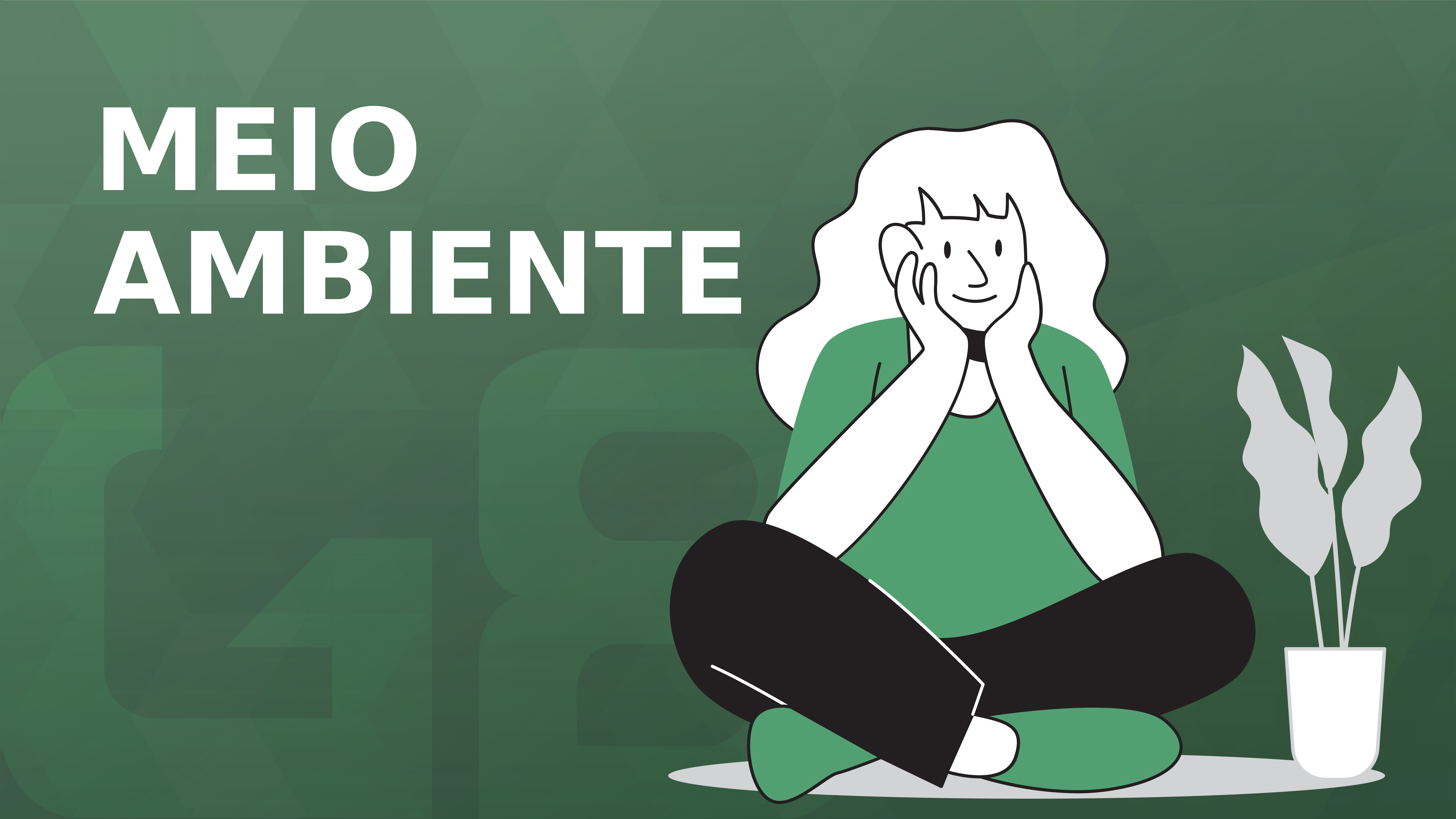 Meio Ambiente Meio Ambiente
